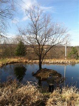 The Willow Tree Inn B&B Cooperstown Esterno foto